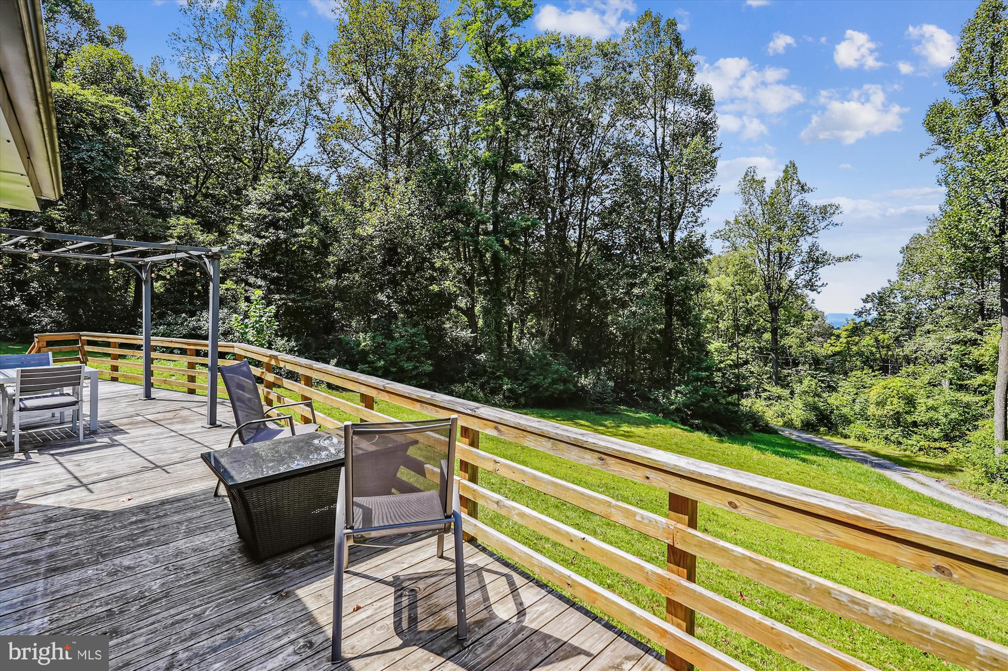 21826 Blue Ridge Mountain Road Paris, VA 20130 - Photo 33 of 60 a view of swimming pool with lounge chair and dinning table under an umbrella