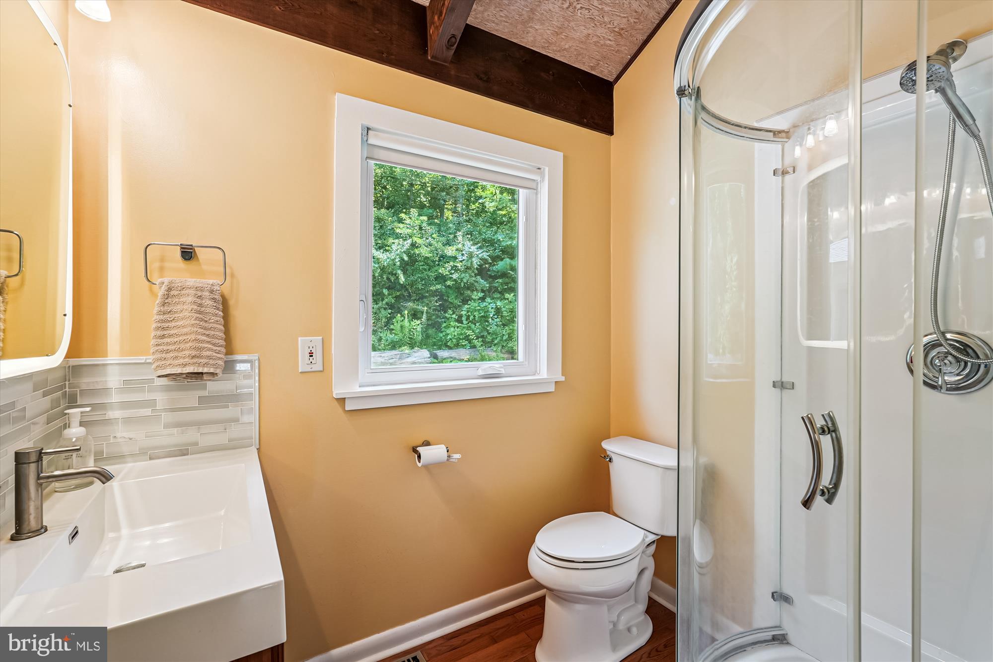 21826 Blue Ridge Mountain Road Paris, VA 20130 - Photo 45 of 60 a bathroom with a sink toilet and shower