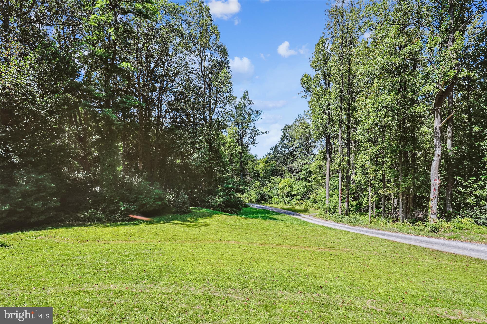 21826 Blue Ridge Mountain Road Paris, VA 20130 - Photo 50 of 60 Nice mix of woods and open space