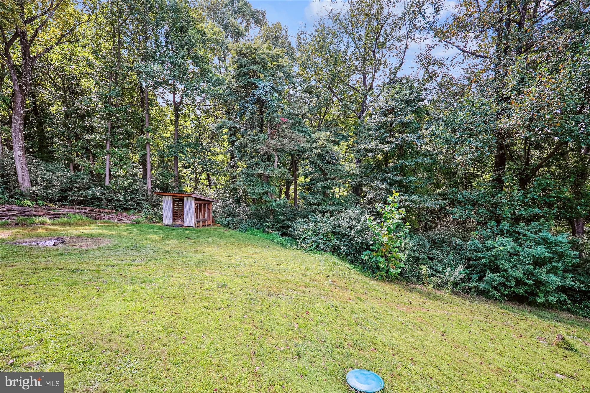 21826 Blue Ridge Mountain Road Paris, VA 20130 - Photo 51 of 60 a fire hydrant in the middle of a field