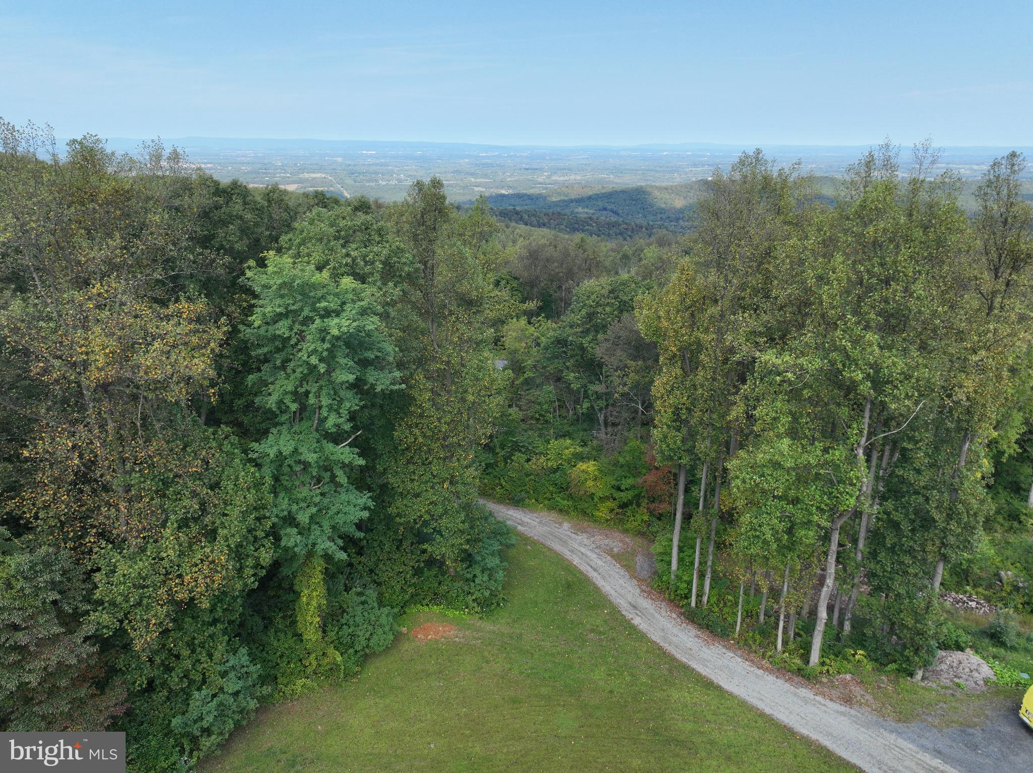 21826 Blue Ridge Mountain Road Paris, VA 20130 - Photo 9 of 60 a view of a forest with a lake