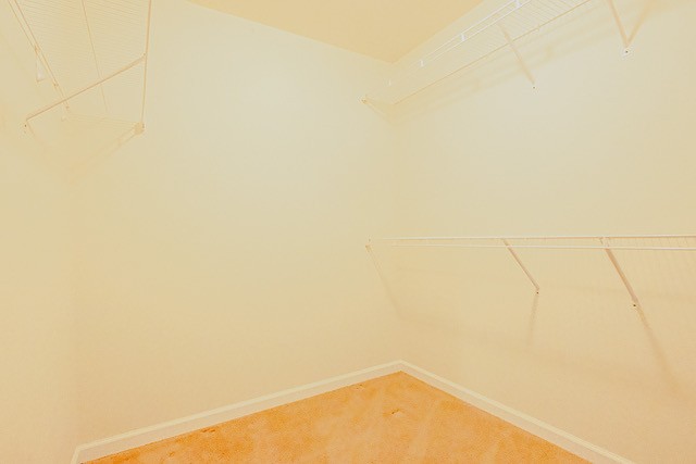 4272 J L Head Road Cedar Hill, TN 37032 - Photo 22 of 30 a view of a small space