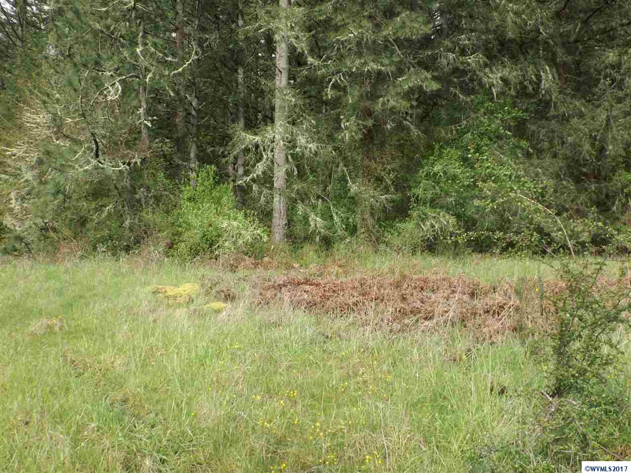 Weldon (lot 209) Road Lebanon, OR 97355 - Photo 9 of 17