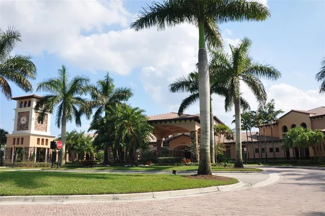 a view of a park with palm trees