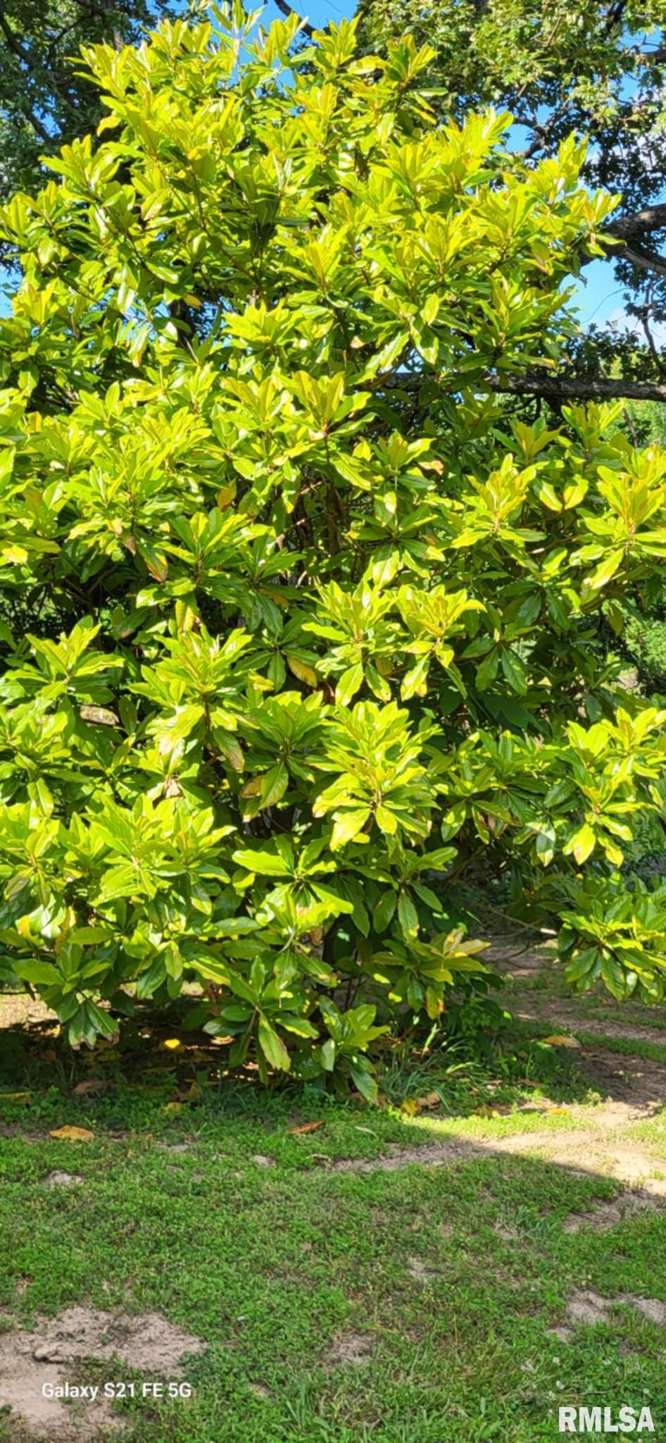 14854 Sesser Lake Road Sesser, IL 62884 - Photo 33 of 44