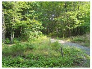 335 Cemetery Road Boyers, PA 16020 - Photo 3 of 4 Gallery Image 3