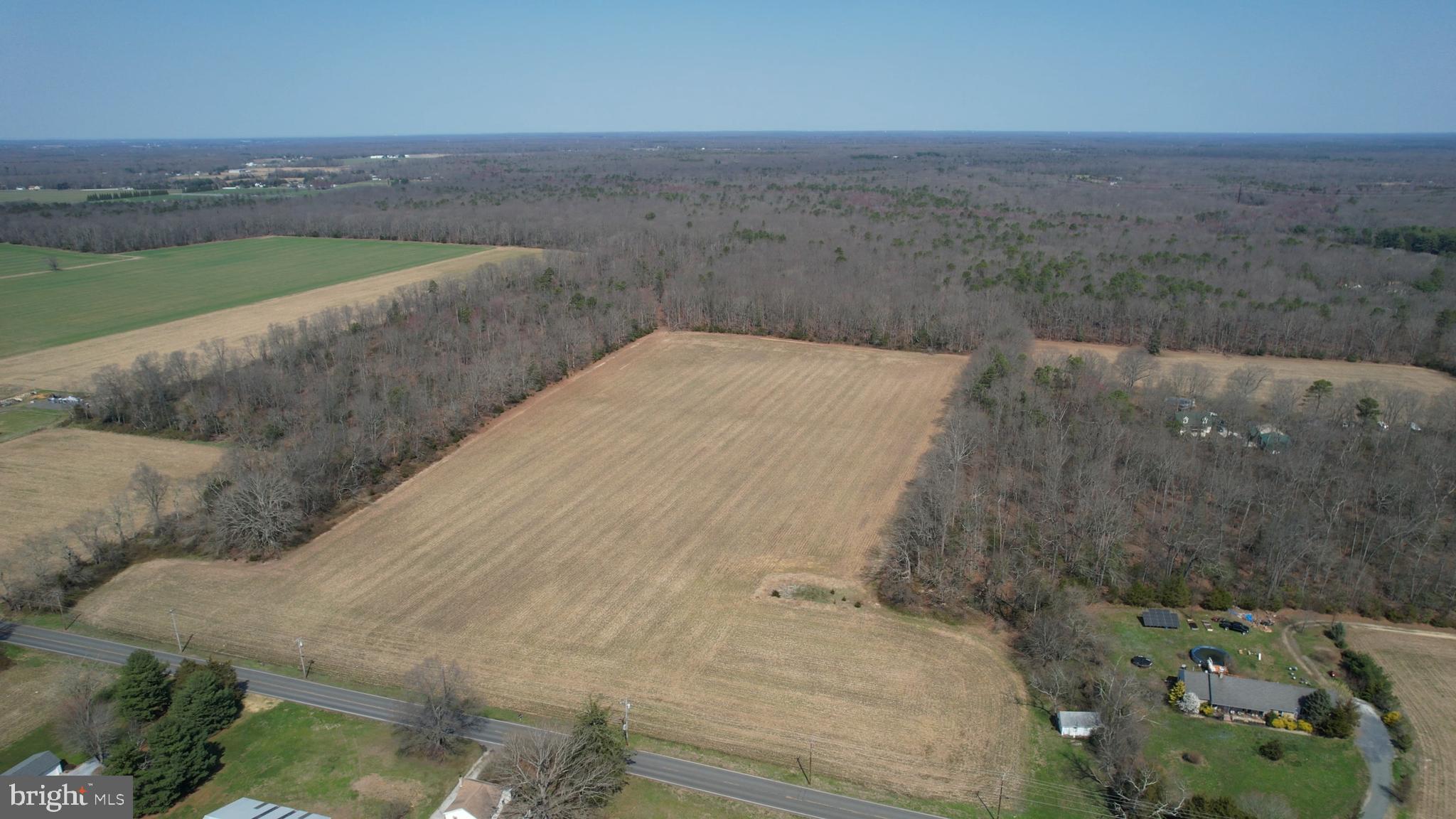Lot 48 Garden Road Pittsgrove, NJ 08318 - Photo 2 of 3 a view of a dry yard