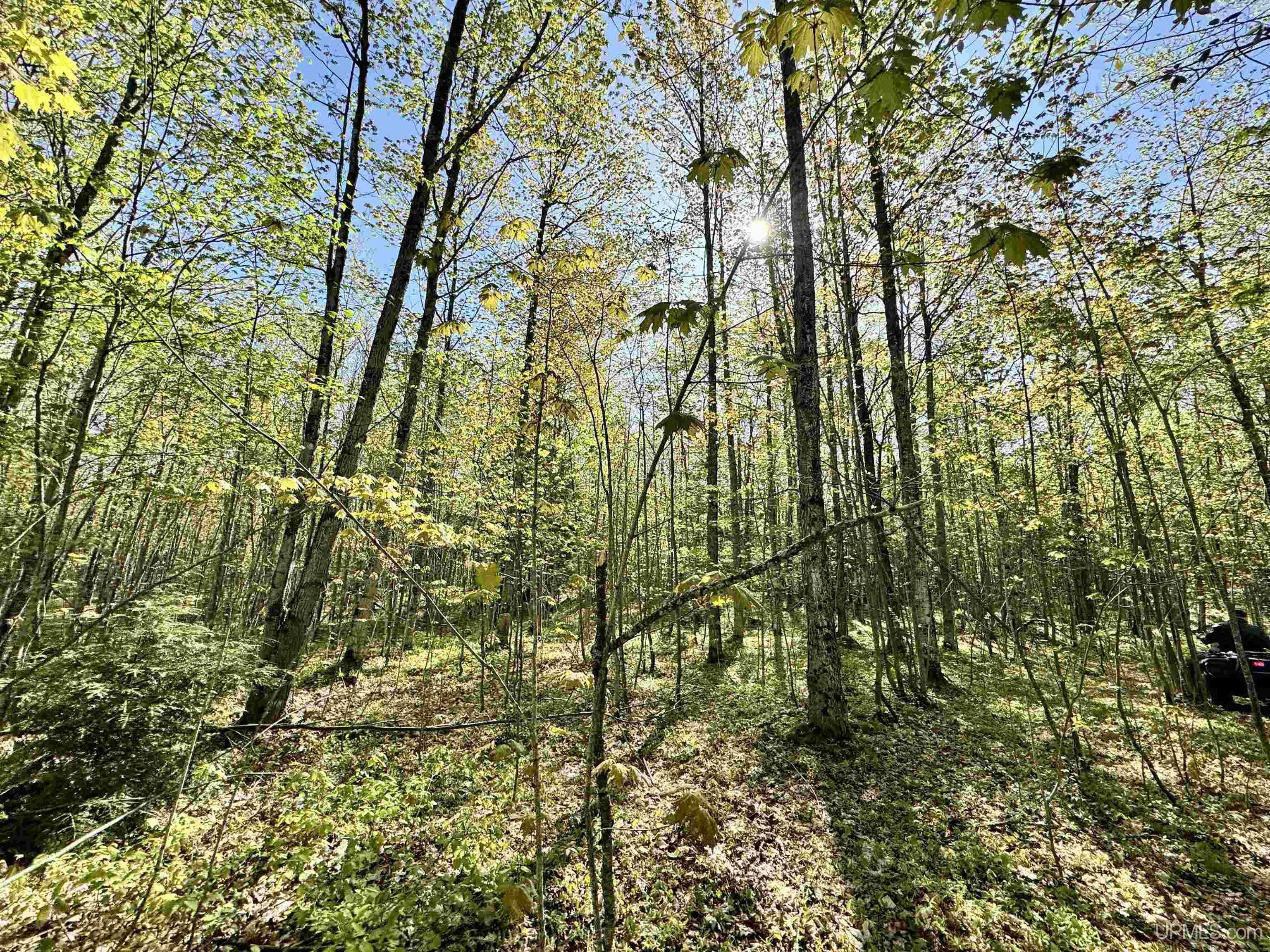 Tbd Tbd Segan Road Marquette, MI 49855 - Photo 7 of 21