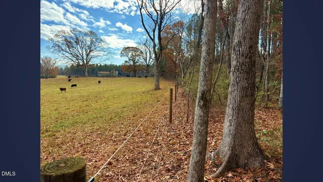 a view of a yard with large trees