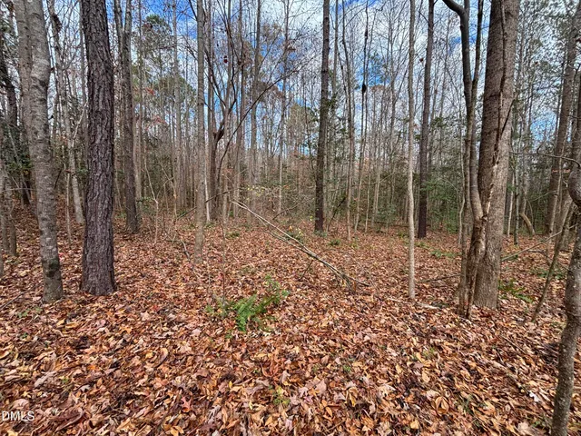 a view of backyard with green space