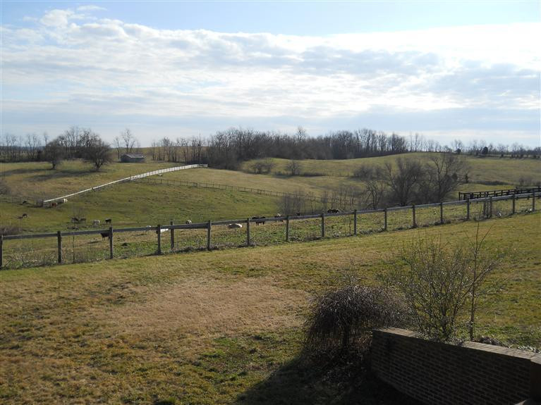 1052 High Bridge Road Lancaster, KY 40444 - Photo 9 of 41 Photo 9