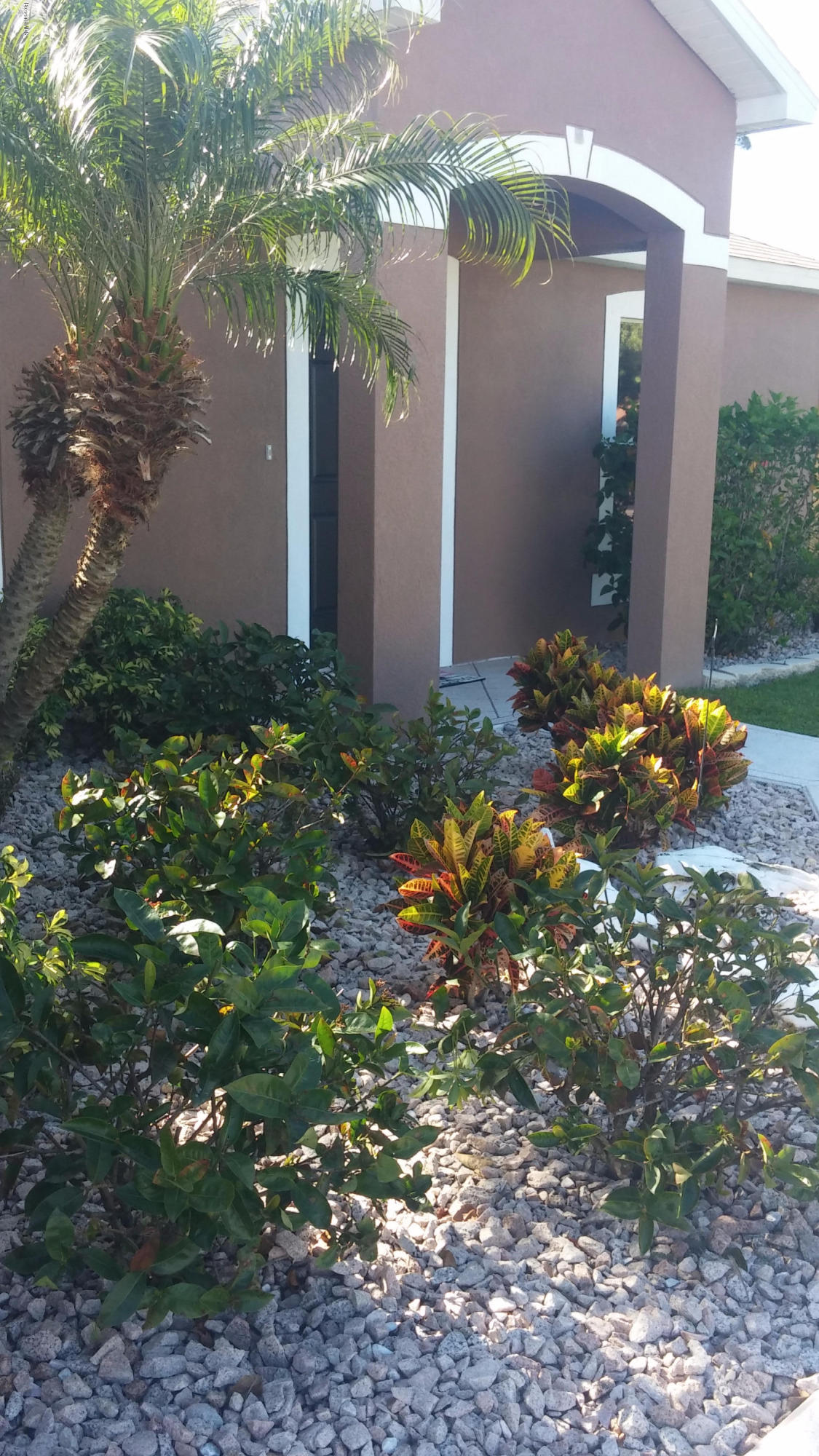 6950 Bryant Road Cocoa, FL 32927 - Photo 19 of 20 a backyard of a house with lots of green space