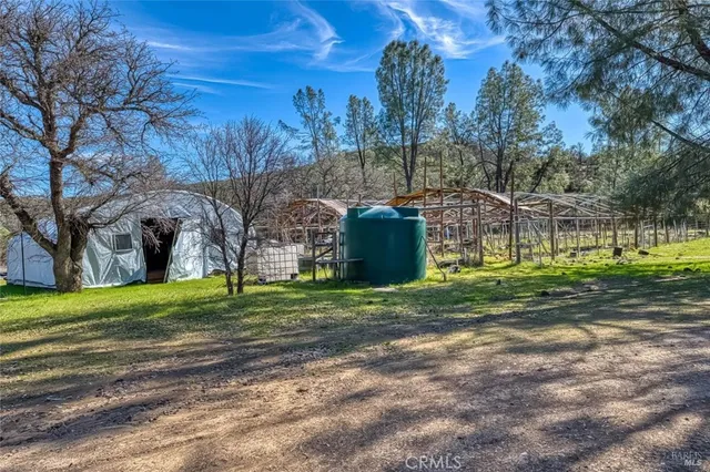 a swimming pool with some trees