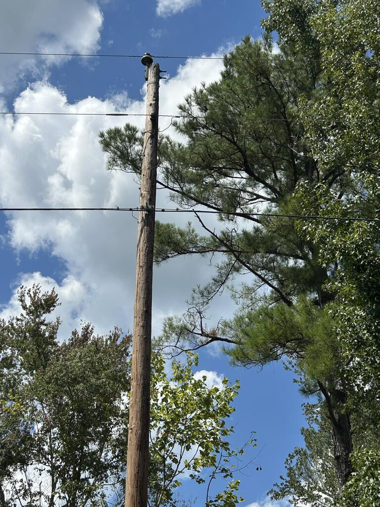 644 Case Road Slocomb, AL 36375 - Photo 5 of 24 Gallery Image 5