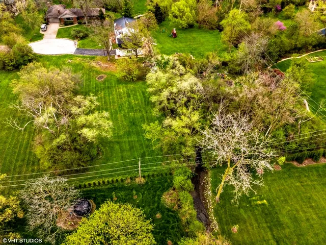 a view of a yard with plants and large trees