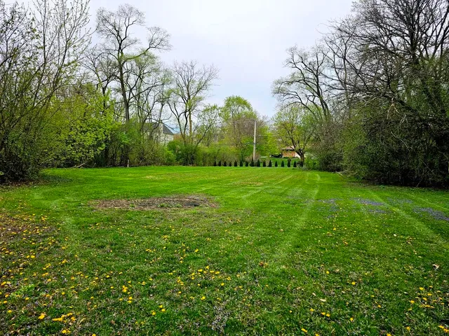 a view of a grassy field with trees