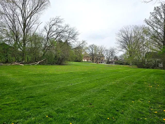 a view of a grassy field with trees