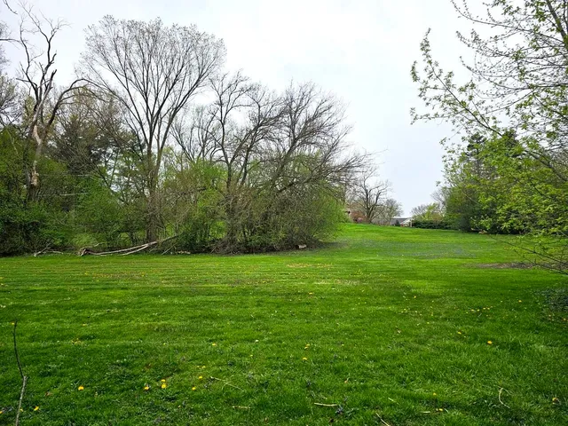 a view of a grassy field