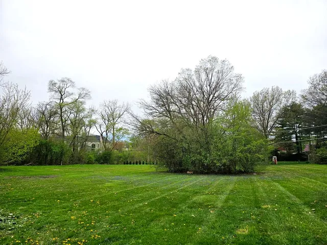 a view of a field with trees in the background