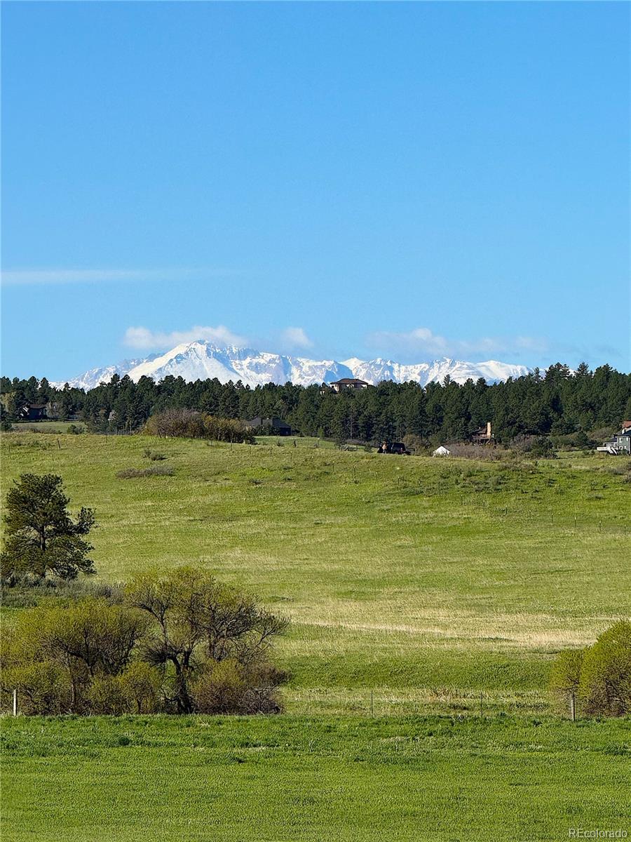 3125 Red Kit Road Franktown, CO 80116 - Photo 34 of 40