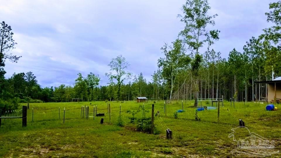 287 Rosebed Road Tibbie, AL 36583 - Photo 36 of 47