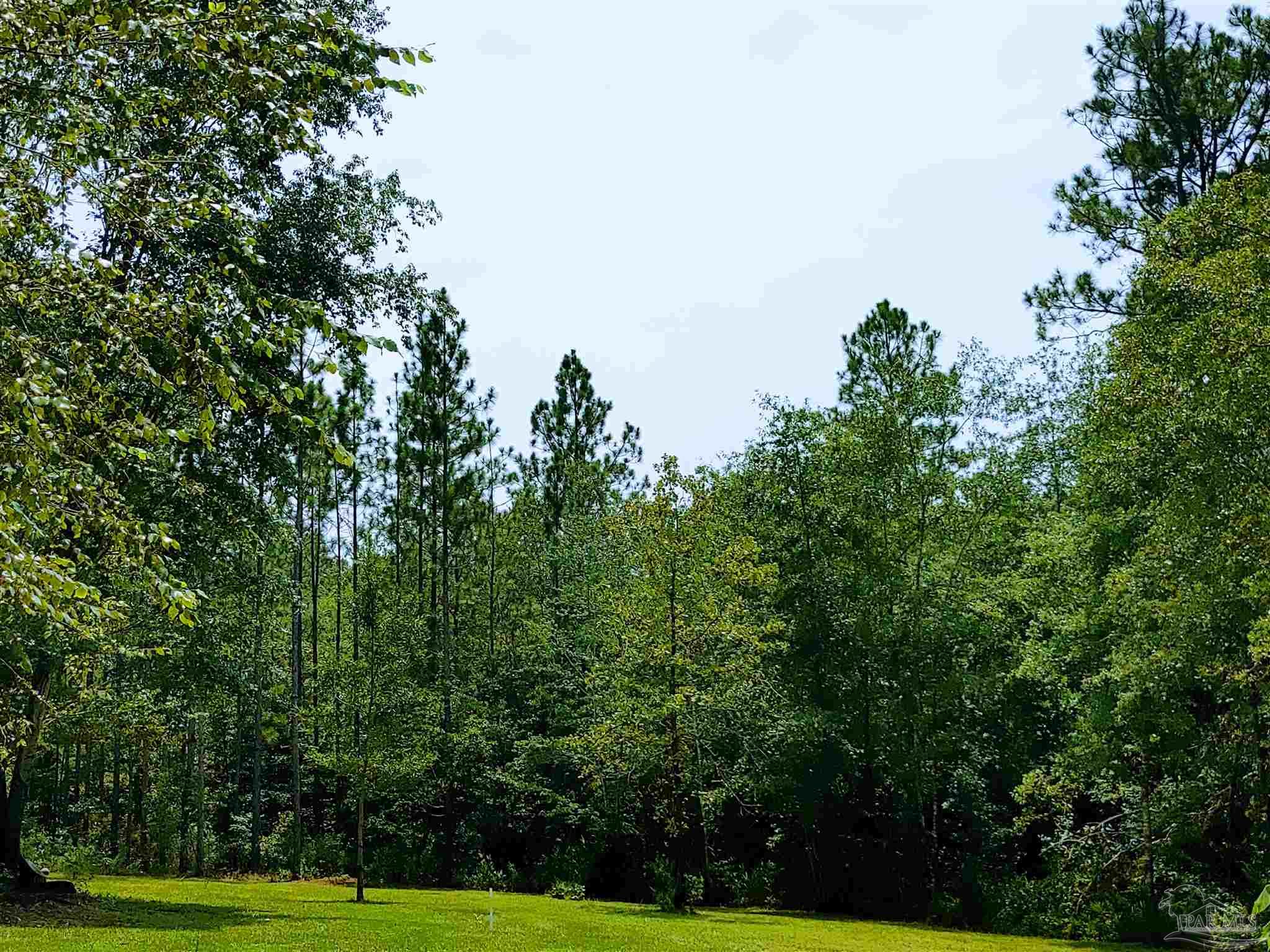 287 Rosebed Road Tibbie, AL 36583 - Photo 38 of 47