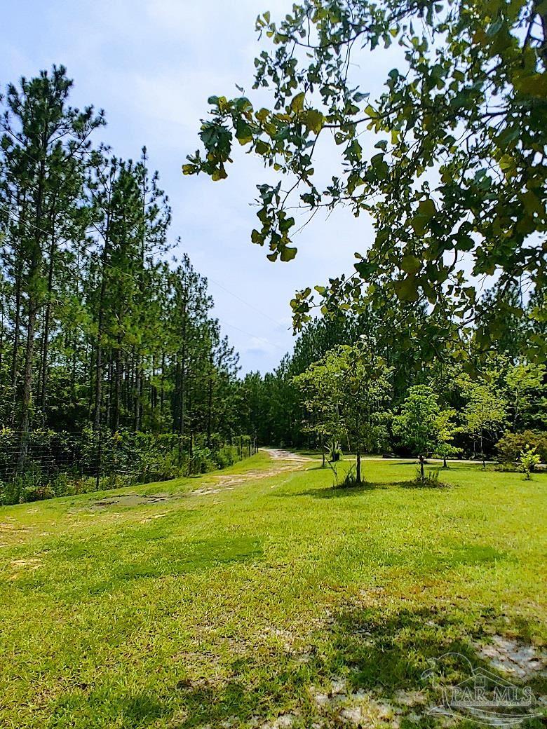 287 Rosebed Road Tibbie, AL 36583 - Photo 40 of 47