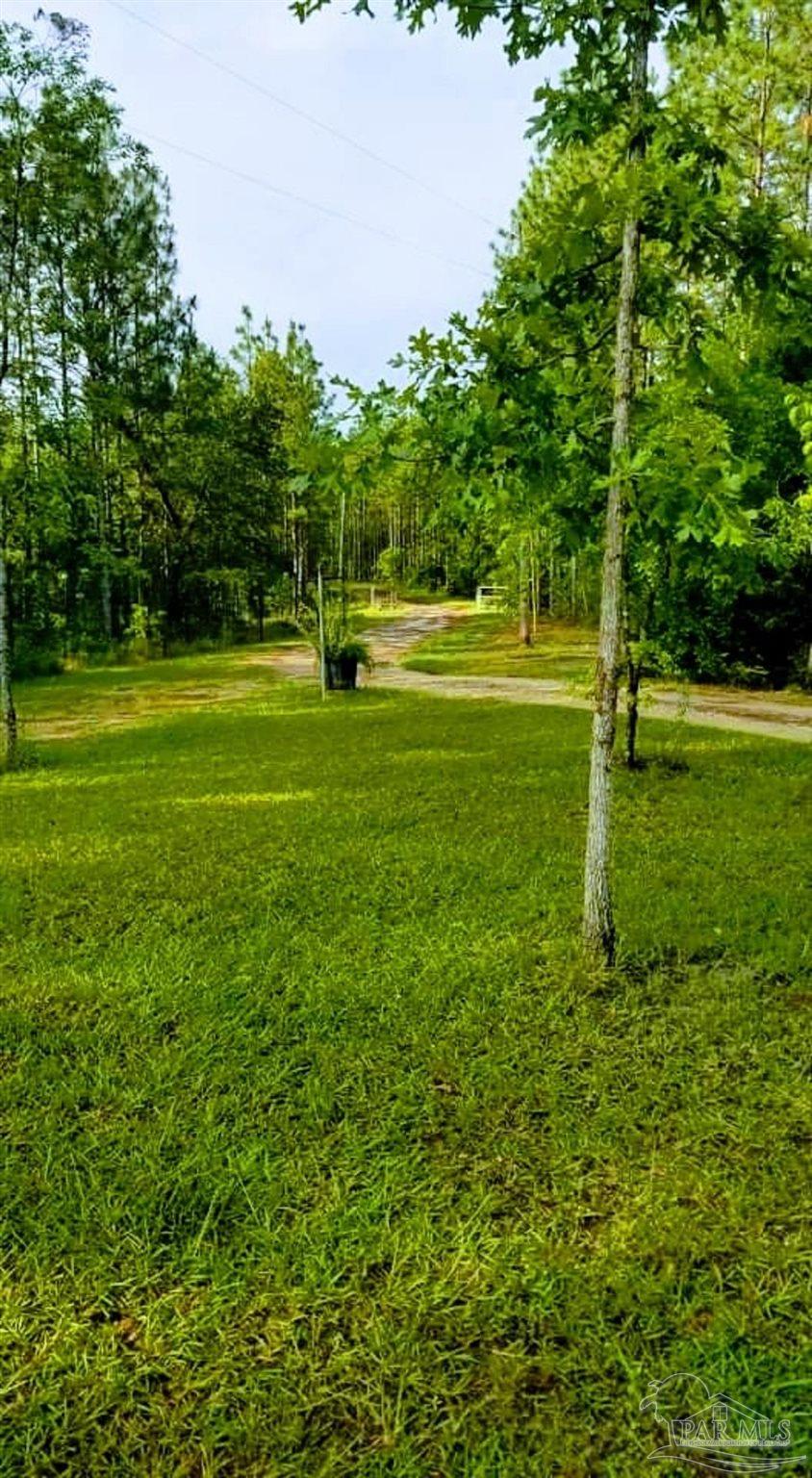 287 Rosebed Road Tibbie, AL 36583 - Photo 41 of 47