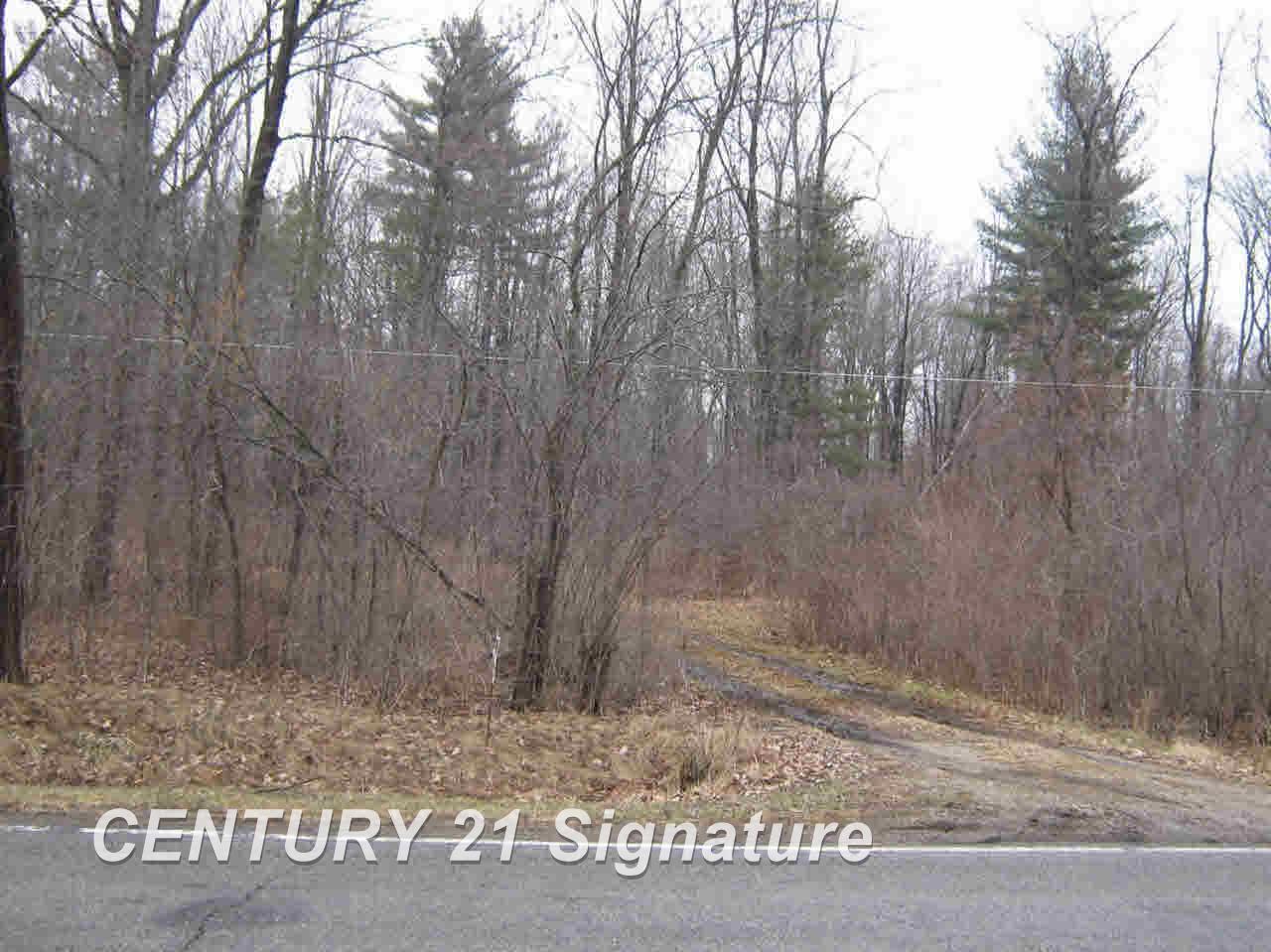 0 Busch Birch Run, MI 48415 - Photo 2 of 2