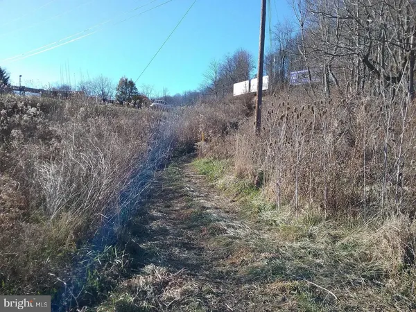 a view of a dry yard with wooden fence