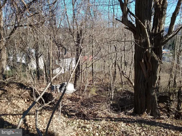 $20,000 | 40 Road Eckhart Mines Md 21528, Frostburg, MD 21532