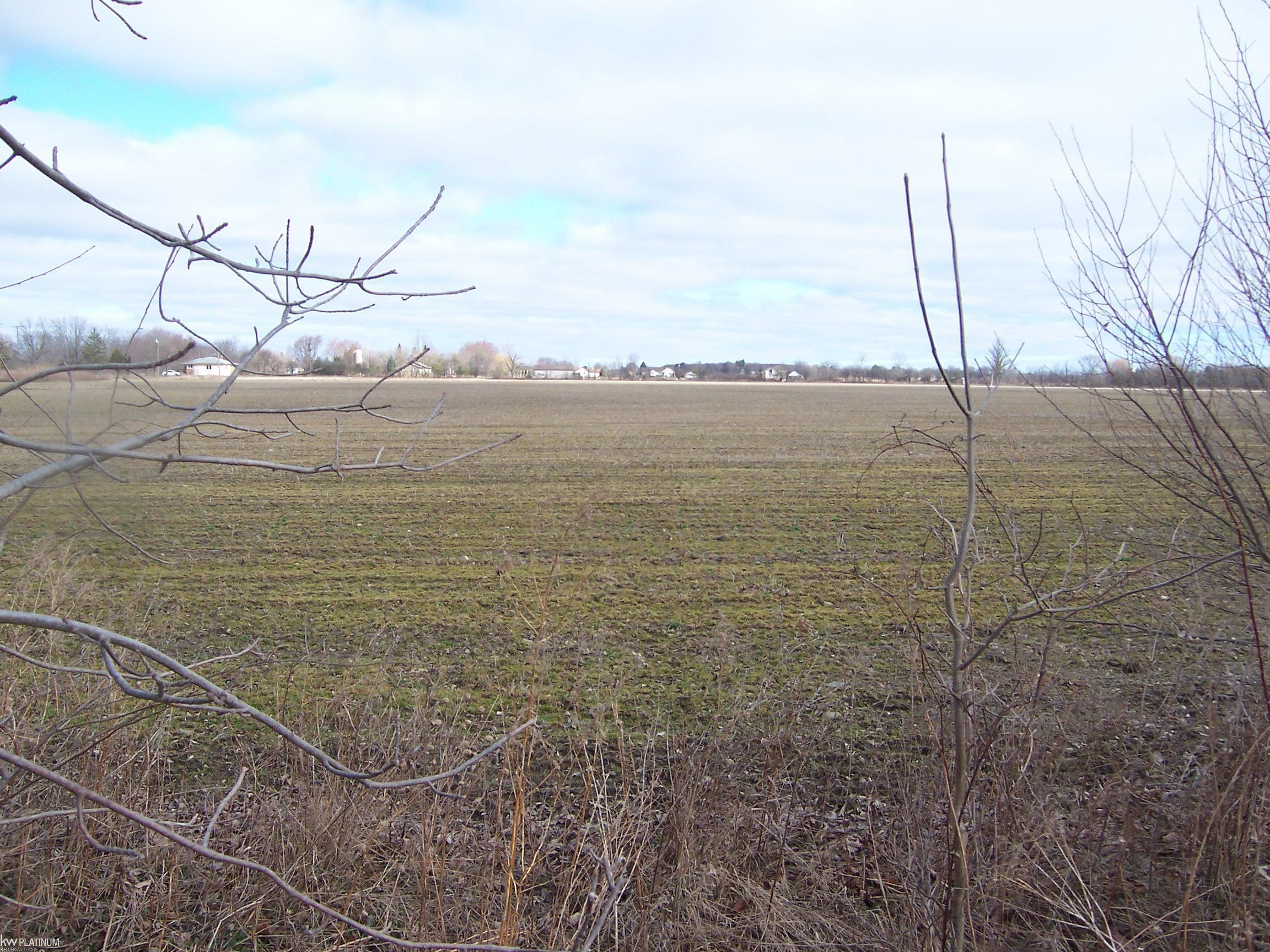 Lot F Carroll Road Columbus, MI 48063 - Photo 1 of 2 Gallery Image 1