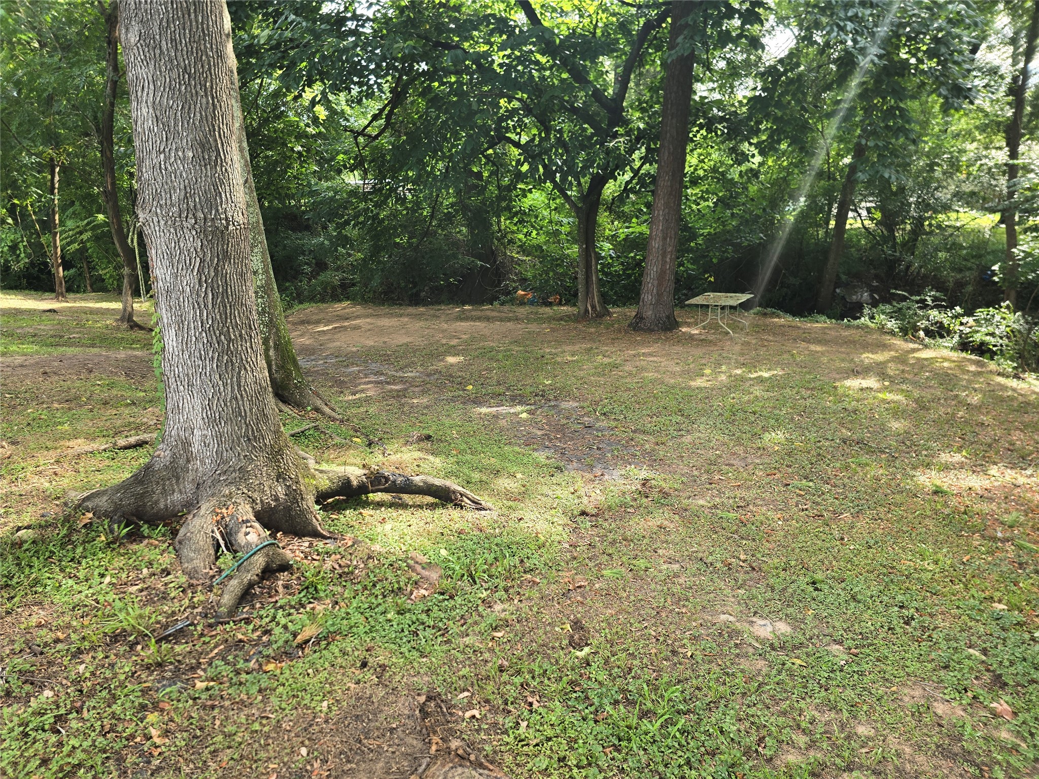 23754 Johnson Road New Caney, TX 77357 - Photo 20 of 23