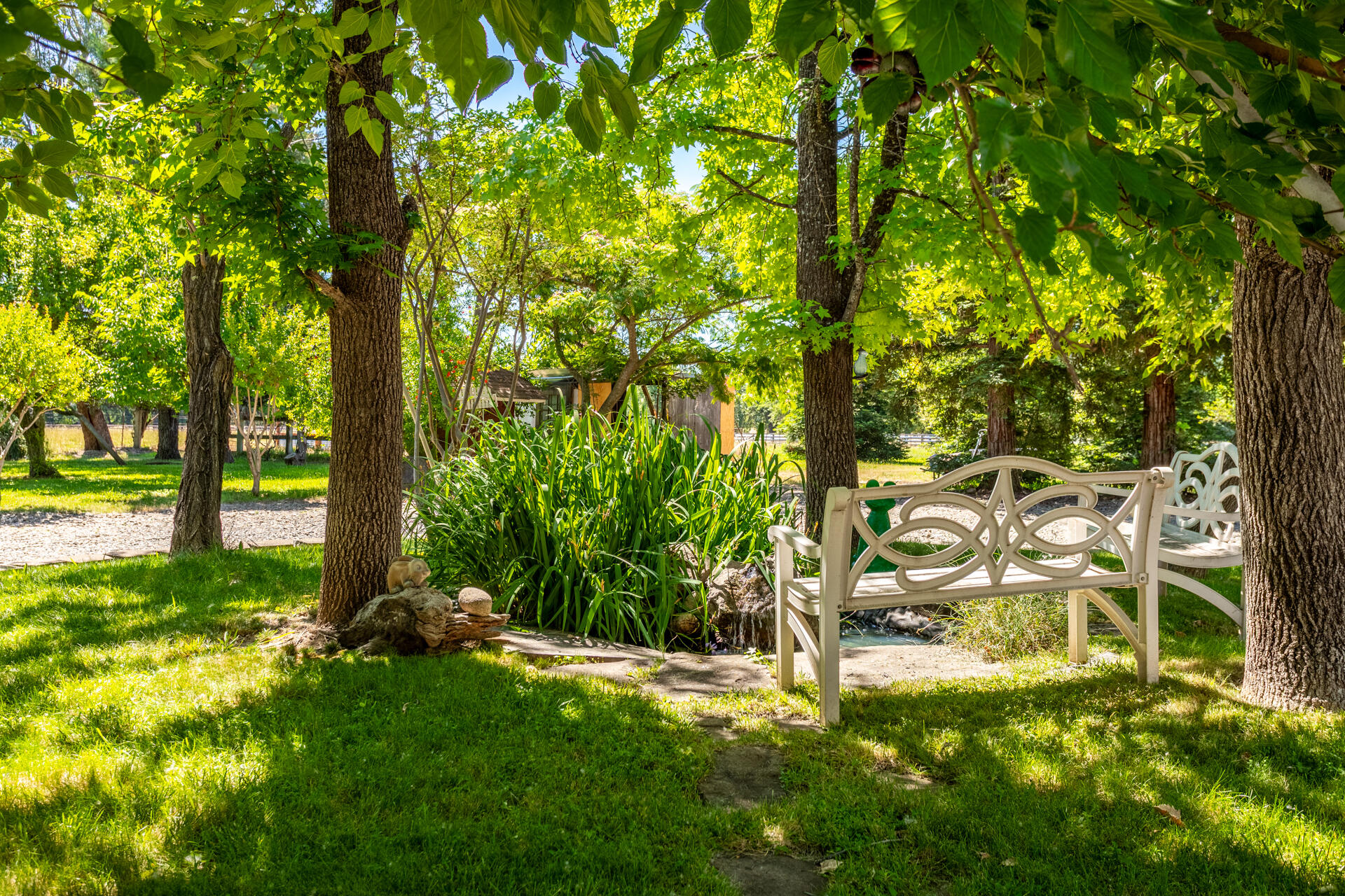 22712 Rovern Ranch Road Palo Cedro, CA 96073 - Photo 50 of 50 Yard