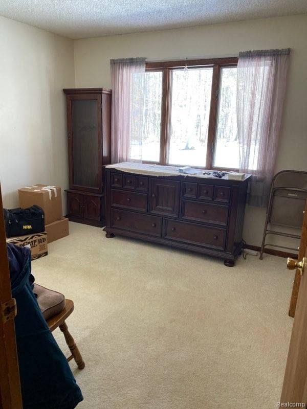 3099 North Branch Road North Branch, MI 48461 - Photo 5 of 16 Gallery Image 5
