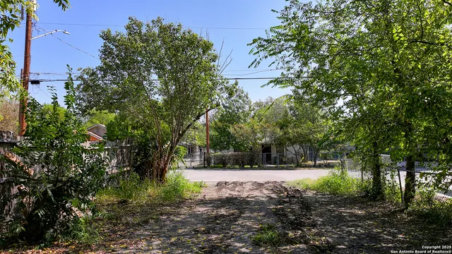 a view of swimming pool with a tree