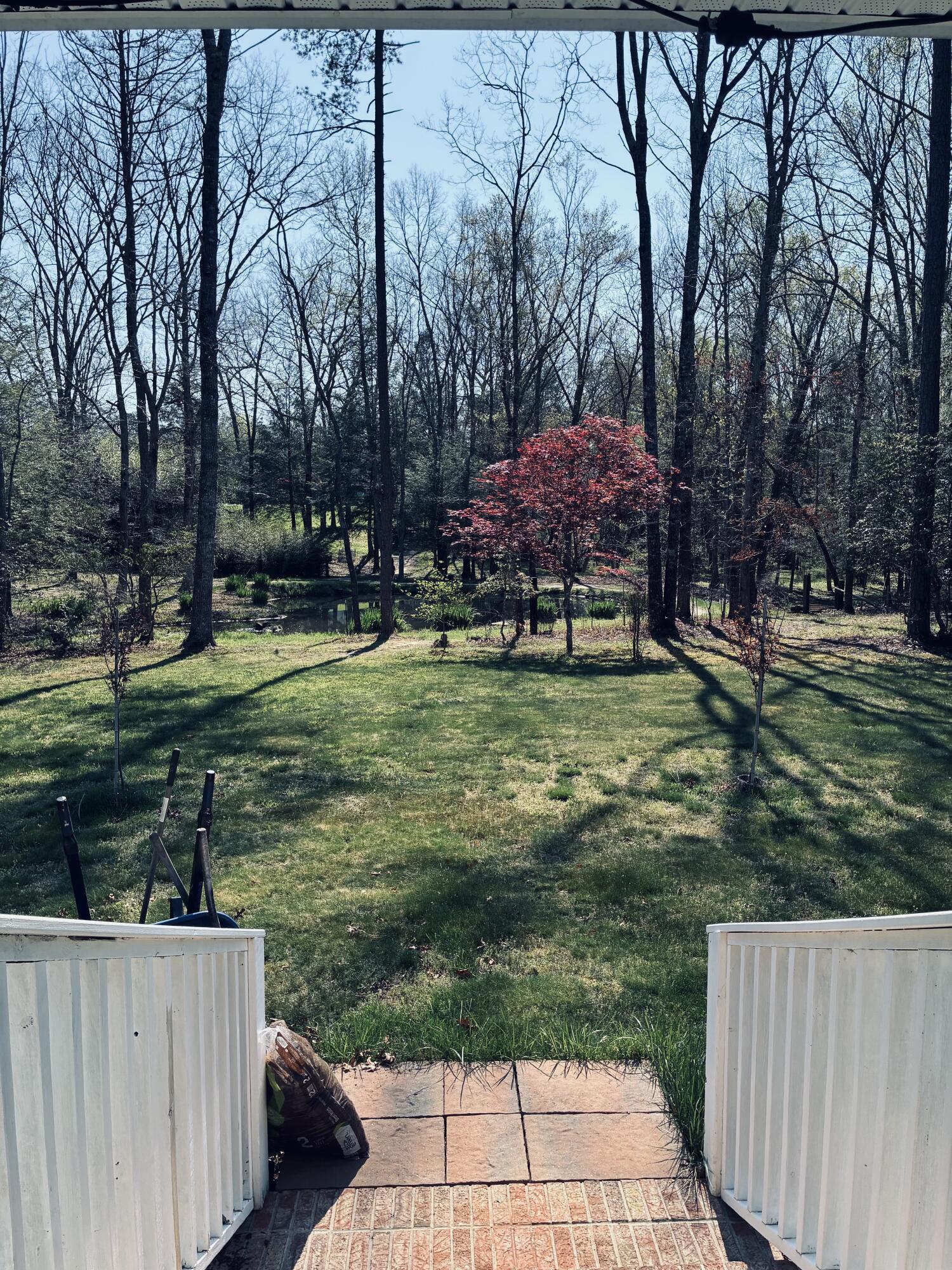 733 Gizzard Creek Road Sequatchie, TN 37374 - Photo 4 of 12 IMG_5642