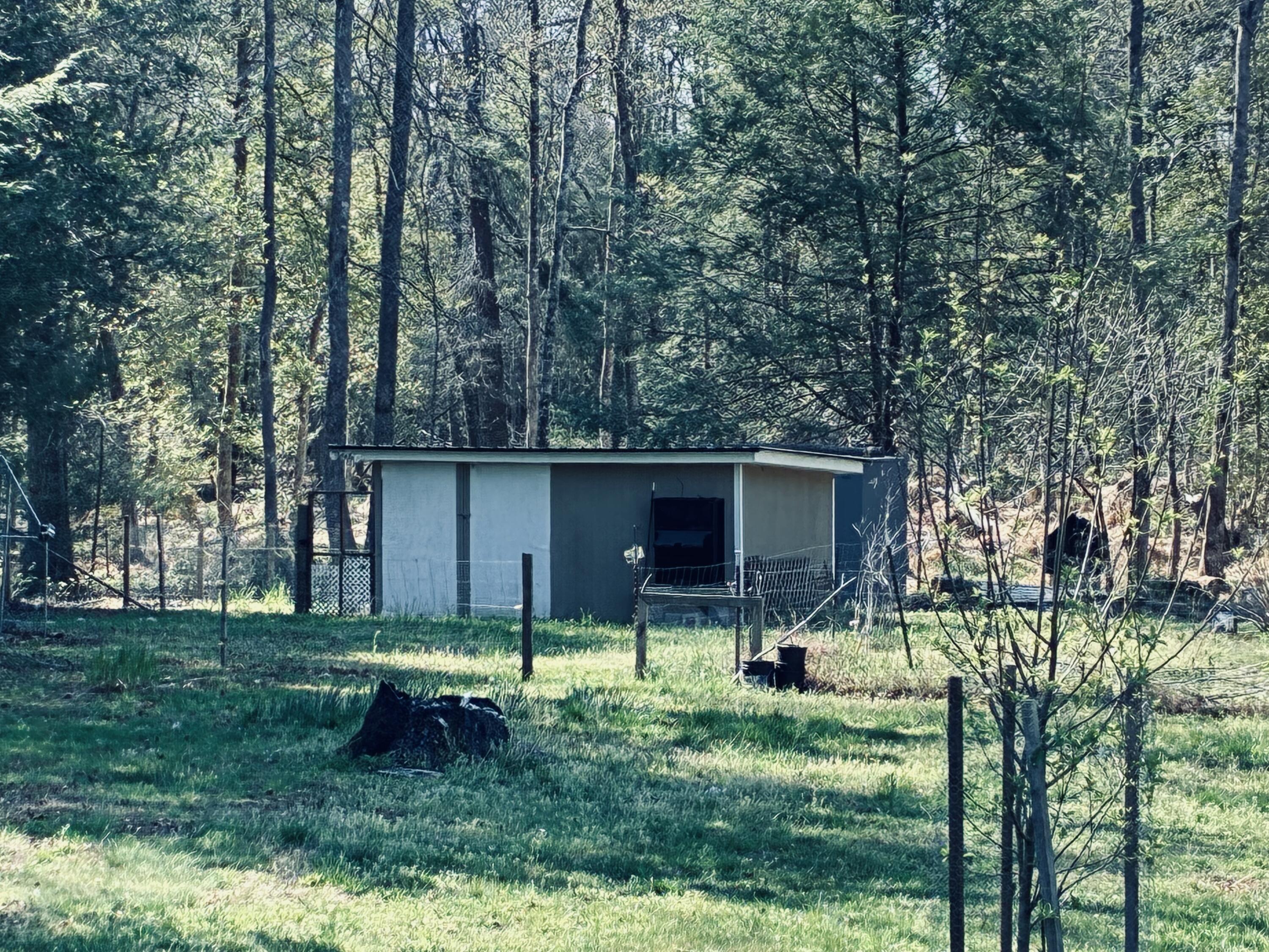 733 Gizzard Creek Road Sequatchie, TN 37374 - Photo 9 of 12 IMG_5647