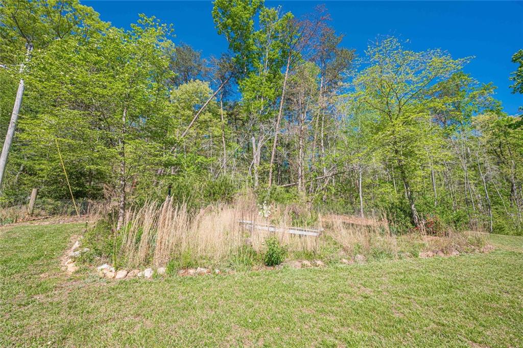 2308 Rackley Road Ellijay, GA 30536 - Photo 23 of 84