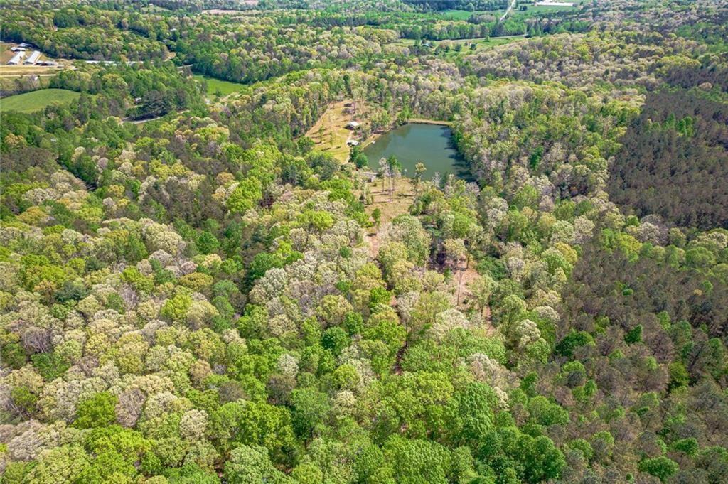 2308 Rackley Road Ellijay, GA 30536 - Photo 5 of 84