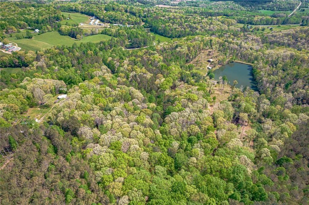 2308 Rackley Road Ellijay, GA 30536 - Photo 6 of 84