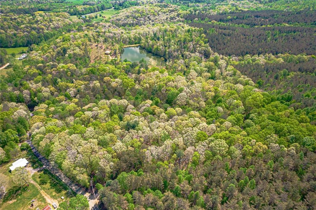 2308 Rackley Road Ellijay, GA 30536 - Photo 7 of 84