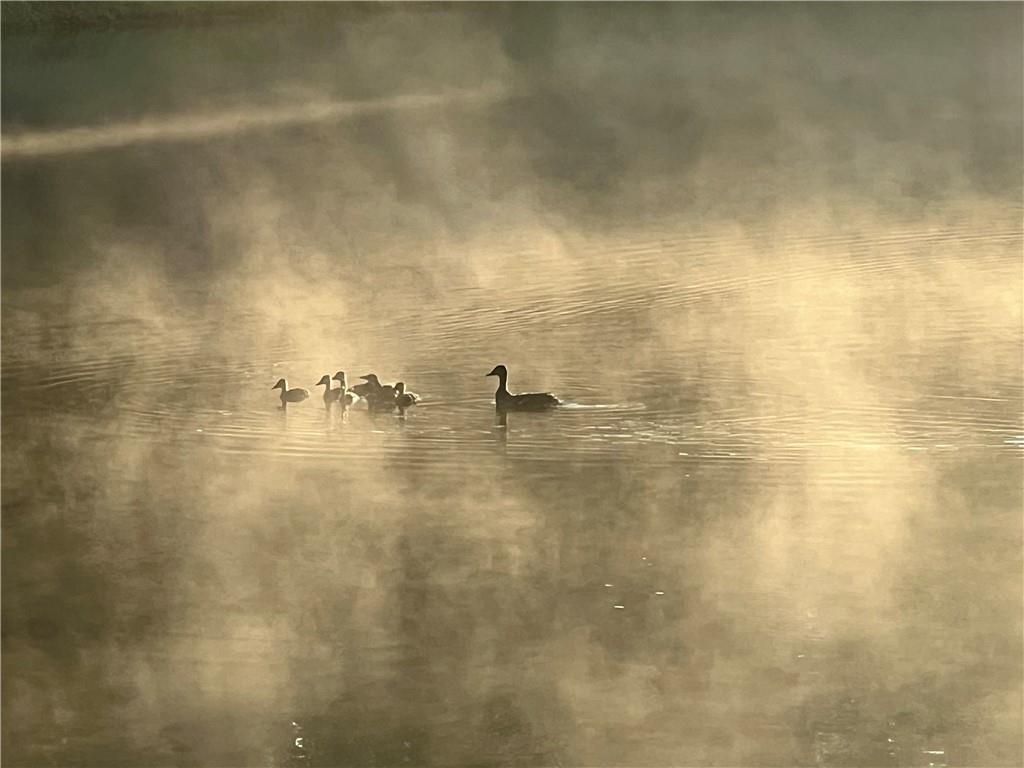 2308 Rackley Road Ellijay, GA 30536 - Photo 77 of 84