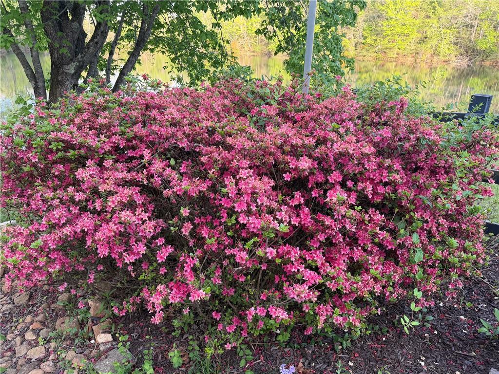 2308 Rackley Road Ellijay, GA 30536 - Photo 82 of 84