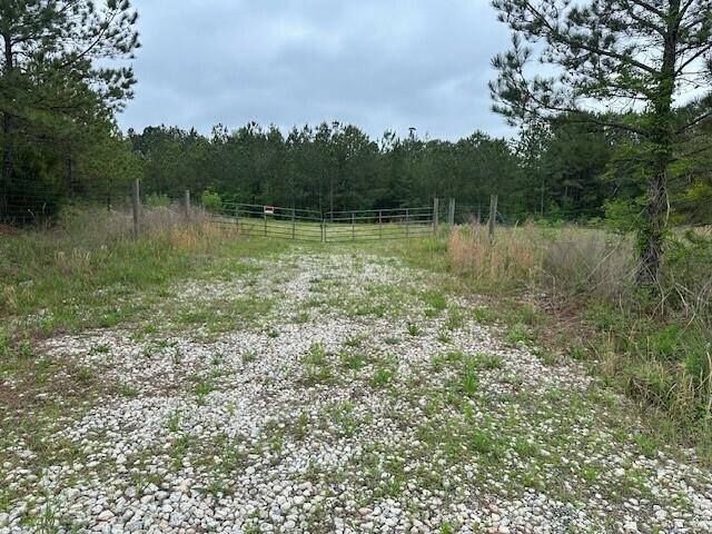 55 Spring Place Road Northeast Cartersville, GA 30121 - Photo 3 of 14 a view of a lake