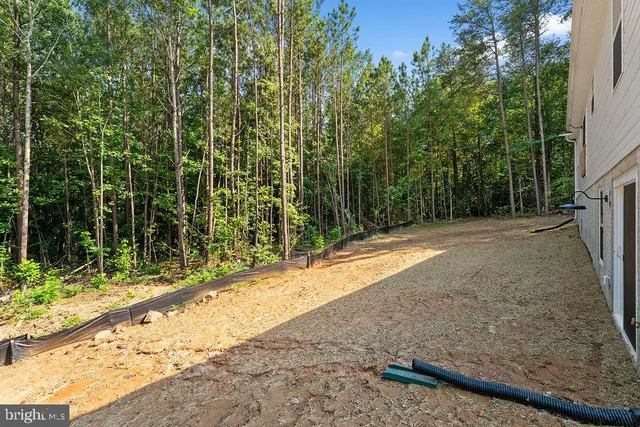 a view of backyard with green space
