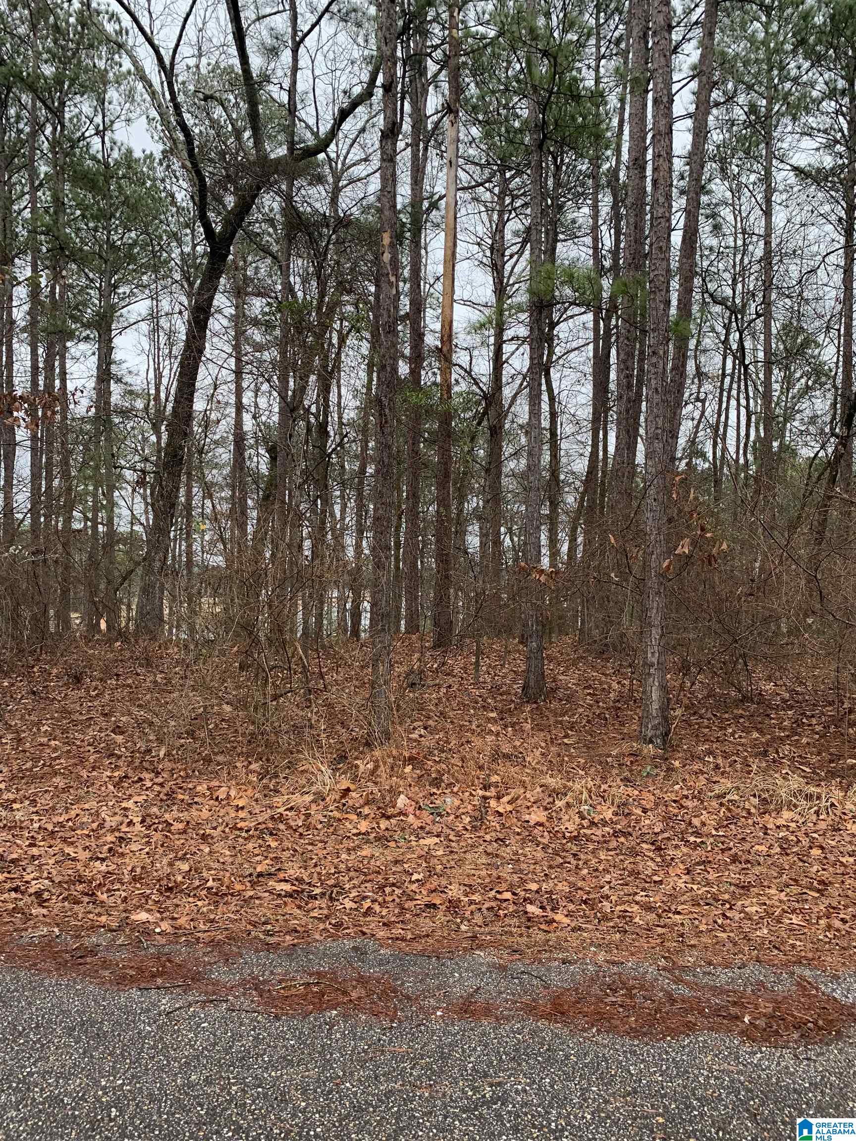 Windy Way, Unit 49 Alexander City, AL 35010 - Photo 7 of 17