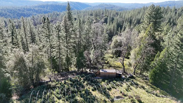 a view of a back yard