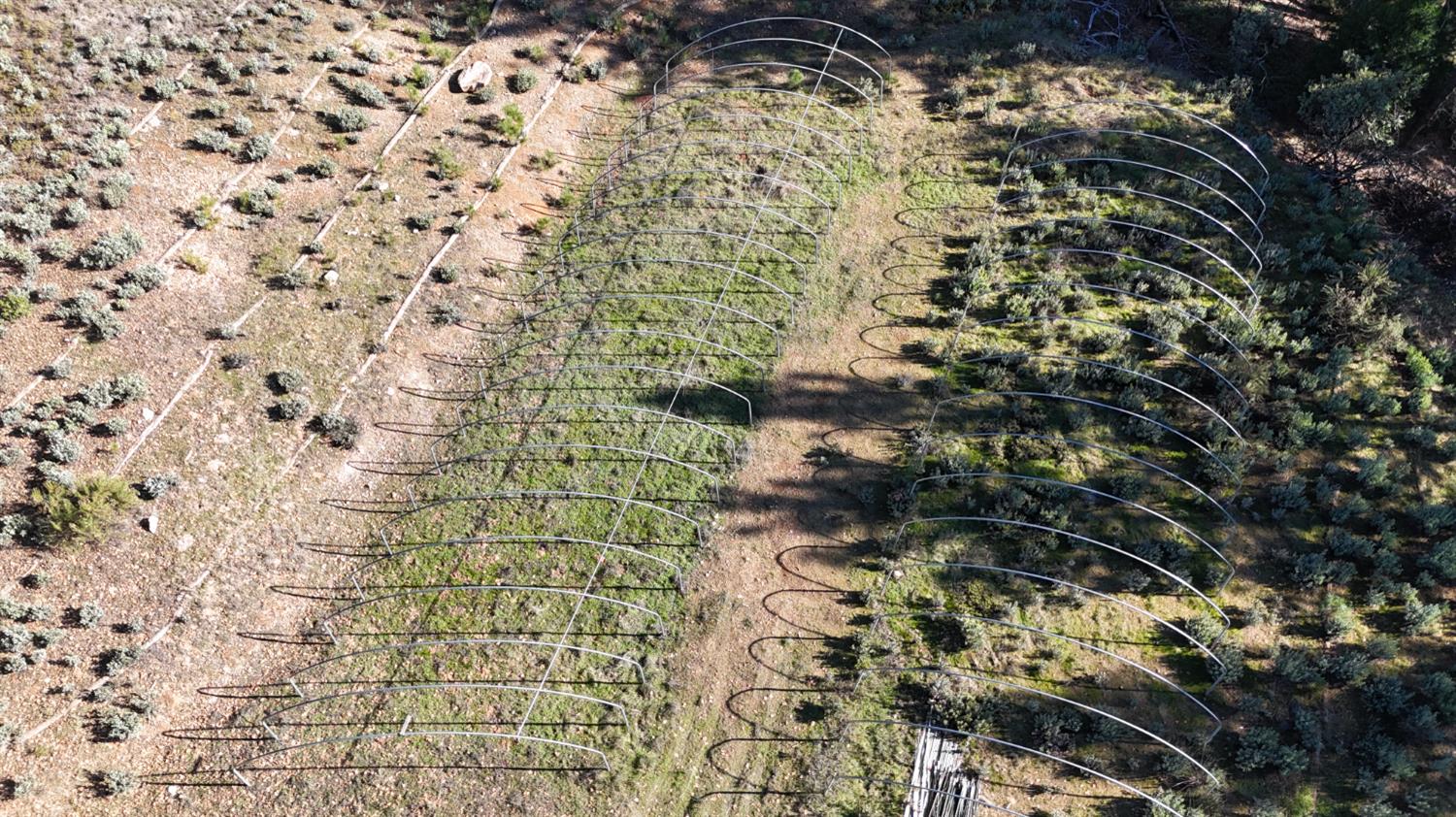 0 Canterbury Road Pioneer, CA 95666 - Photo 12 of 15 a bathroom with a shower