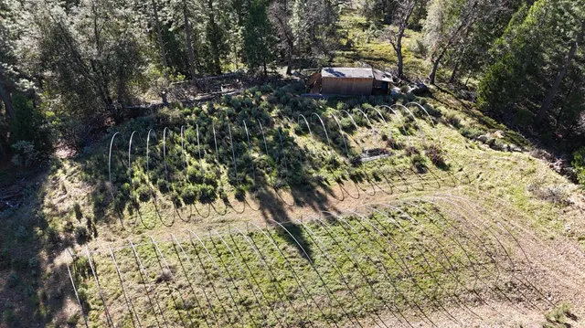 a view of outdoor space and a garden